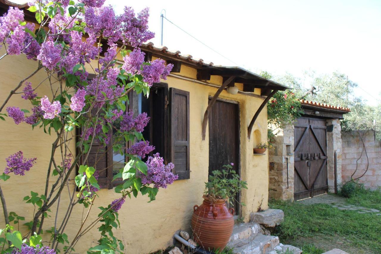 Varias Art House Kallirákhi Zewnętrze zdjęcie